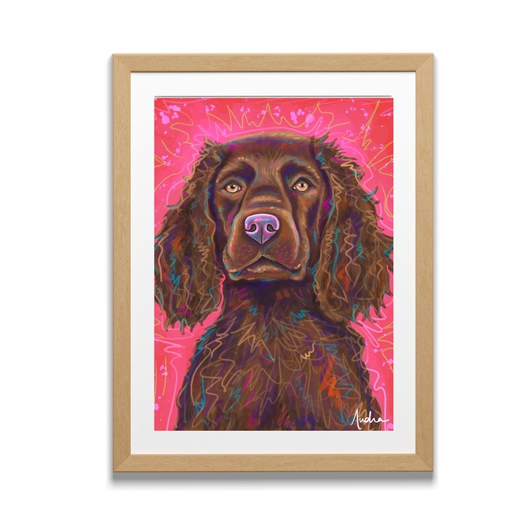 Boykin Spaniel Pink Background Reproduction Print