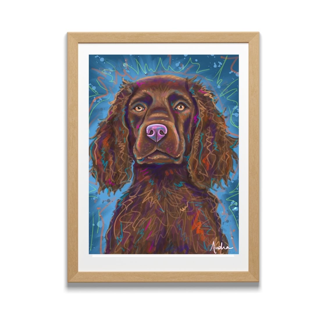 Boykin Spaniel Blue Background Reproduction Print