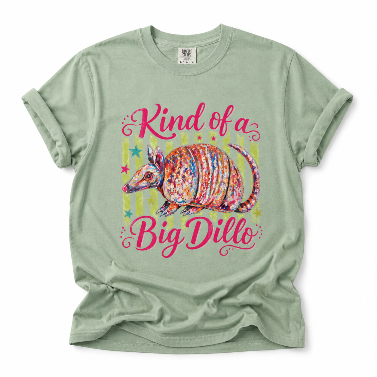 Kind of a Big Dillo T-Shirt | Colorful Armadillo Graphic Tee