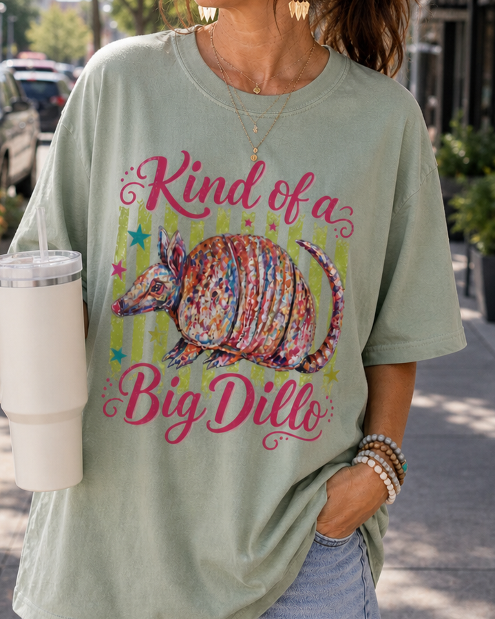 Kind of a Big Dillo T-Shirt | Colorful Armadillo Graphic Tee