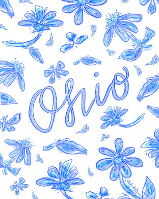 Blue and White Ohio Floral Reproduction Print