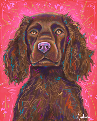 Boykin Spaniel Pink Background Reproduction Print