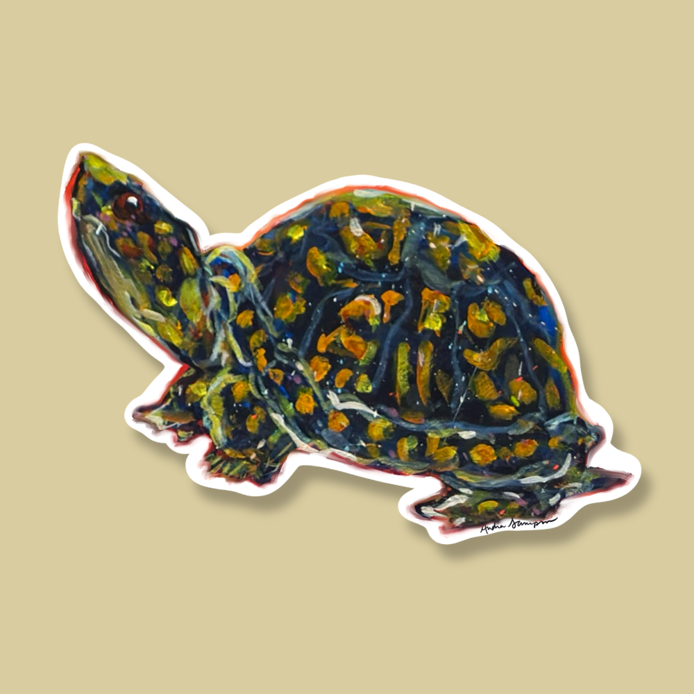 Box Turtle Sticker
