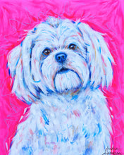 Load image into Gallery viewer, Maltese Maltipoo Reproduction Print