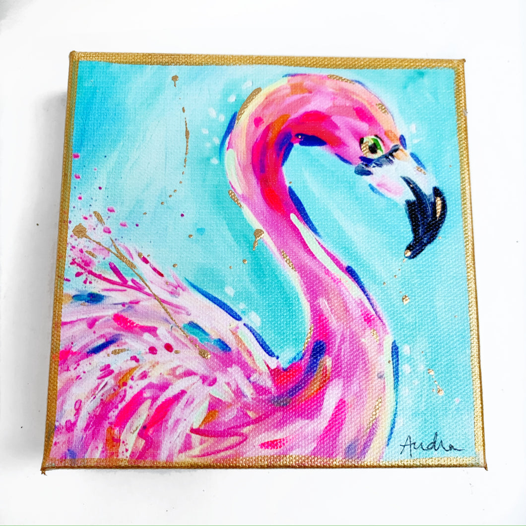 Flamingo on 6